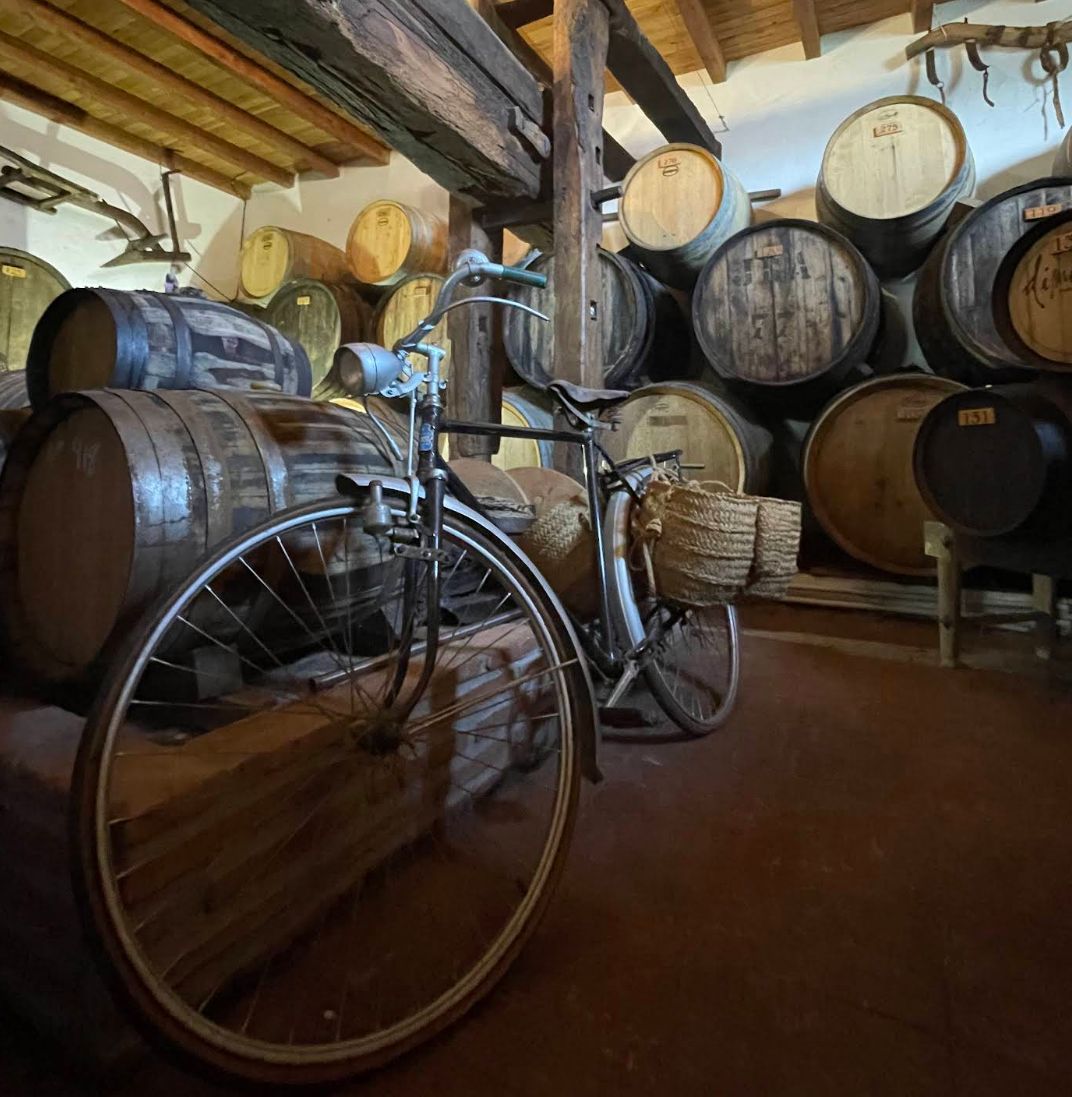 Bodega Antonio Muñoz Cabrera (vingård, est. 1927)